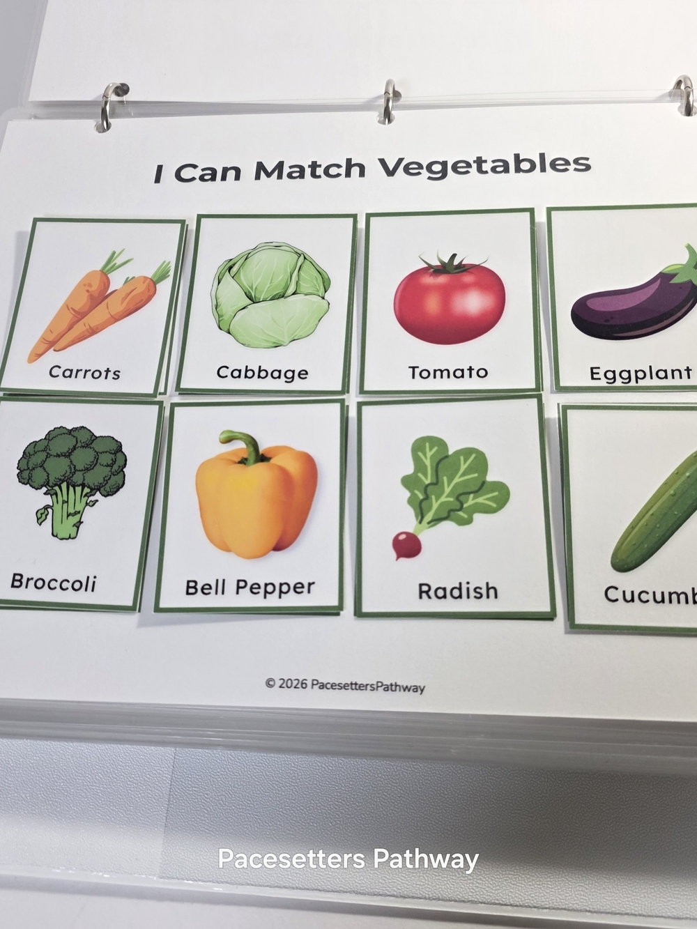Pacesetters Preschool Kindergarten Readiness Learning Binder, For Ages 3-5, NEW - Picture 14 of 17